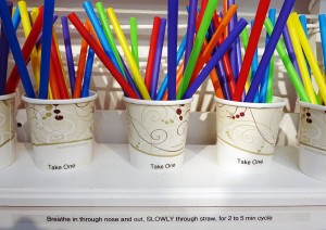 Photo Credit: Margaret Bellafiore